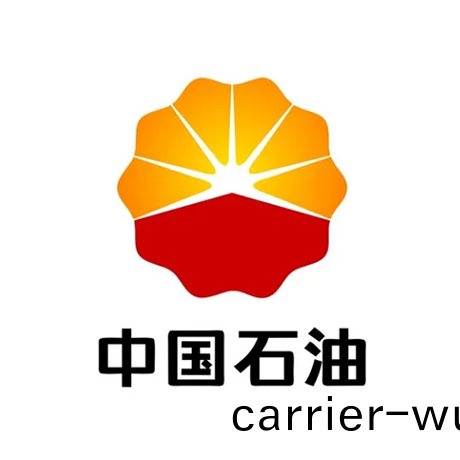 中(zhong)國石(shi)油(you)