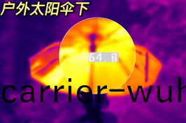 熱(re)成像(xiang)儀下(xia)的(de)西(xi)安溫度(du)