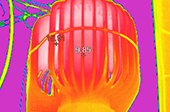 福(fu)祿尅紅外(wai)熱(re)像(xiang)儀在(zai)消(xiao)防(fang)檢(jian)測的(de)應(ying)用