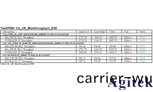 儸悳與施瓦茨CMX500 吞吐量應用層測試(shi)(圖11)